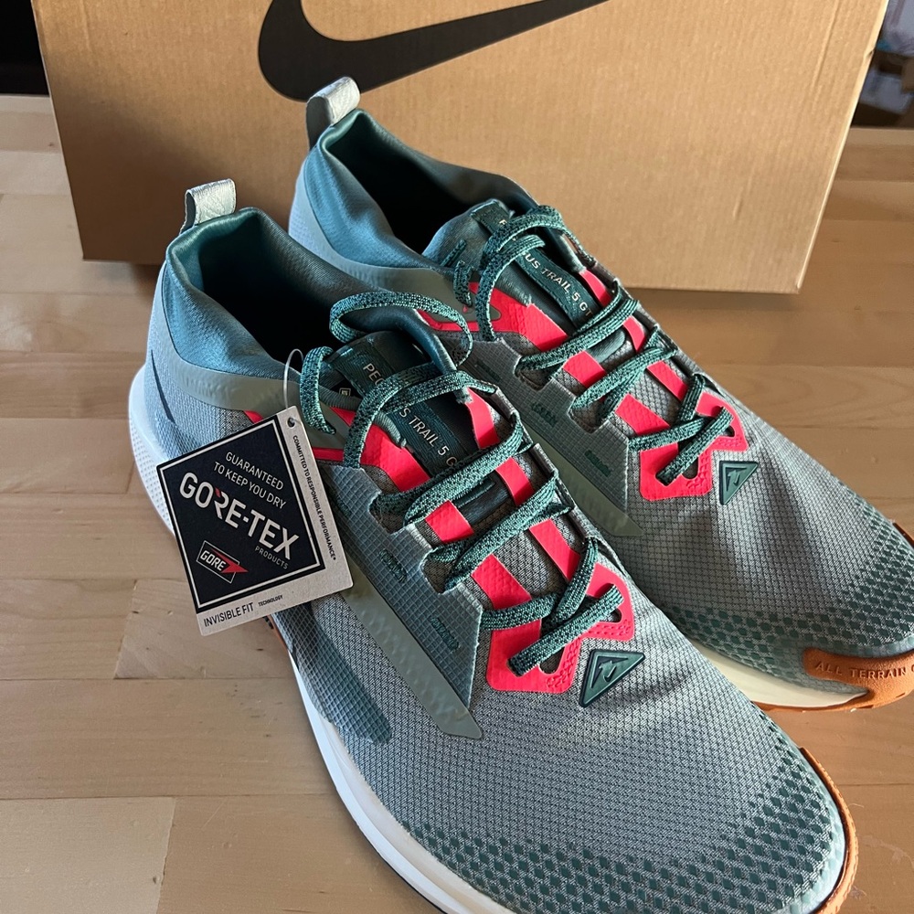 Nike Men's Pegasus Trail 5 GTX Shoes
